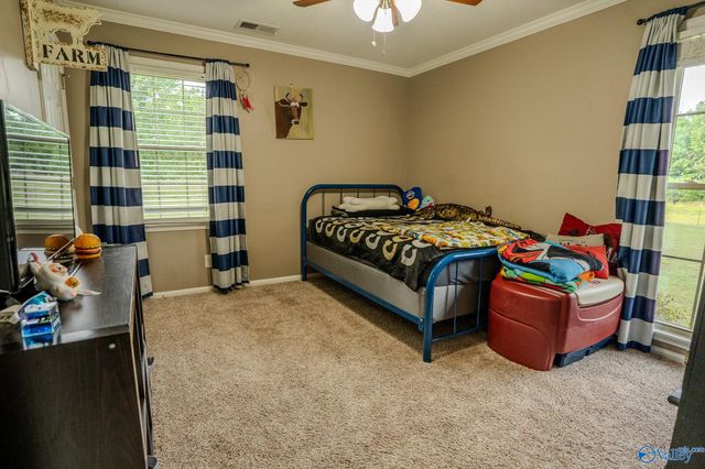 1607 County Road 227, Moulton, AL 35650