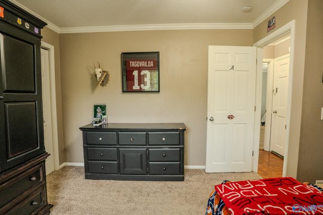 1607 County Road 227, Moulton, AL 35650