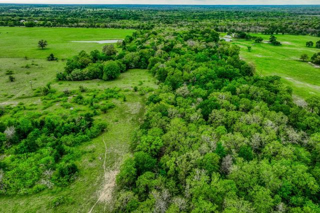 TBD (62.58 Acres) County Road 125, Ledbetter, TX 78946