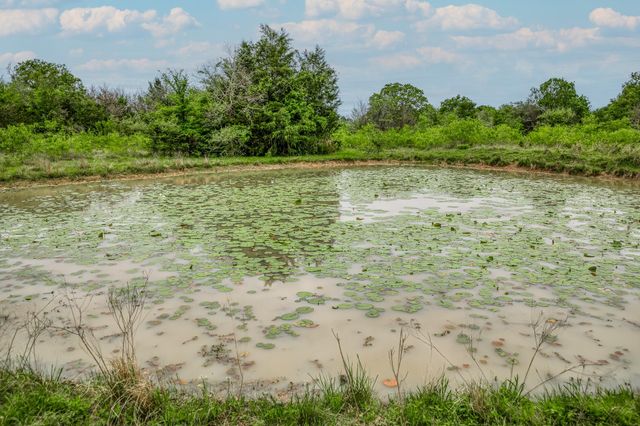TBD (62.58 Acres) County Road 125, Ledbetter, TX 78946