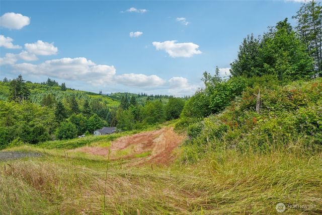1830 Hazel Dell Road #Lot 1, Castle Rock, WA 98611