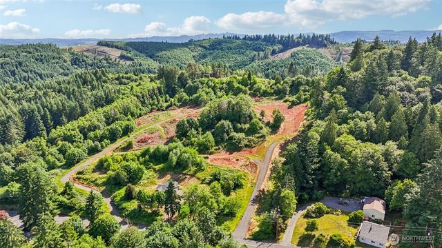 1830 Hazel Dell Road #Lot 1, Castle Rock, WA 98611