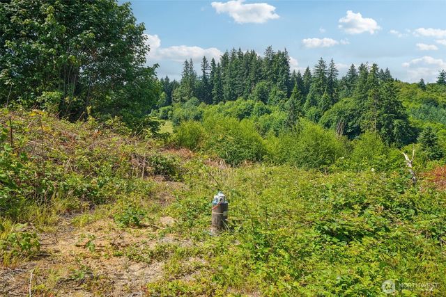 1830 Hazel Dell Road #Lot 1, Castle Rock, WA 98611