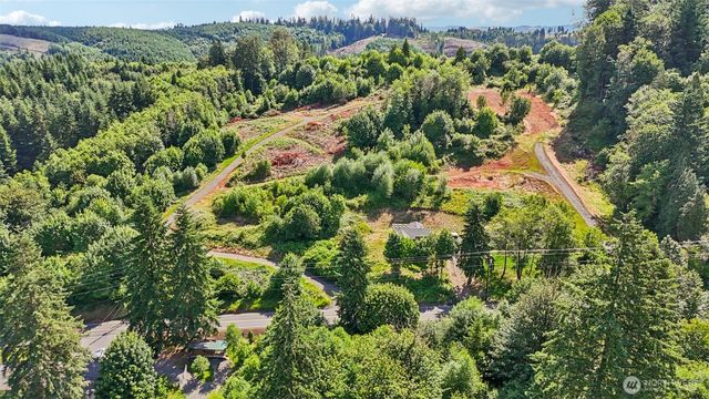 1830 Hazel Dell Road #Lot 1, Castle Rock, WA 98611