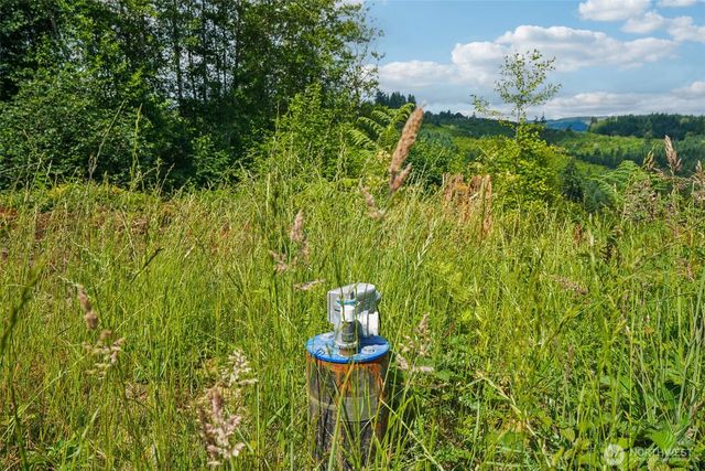 1830 Hazel Dell Road #Lot 1, Castle Rock, WA 98611