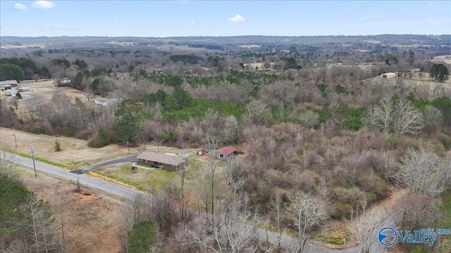 102 Wilson Chapel Road, Susan Moore, AL 35952