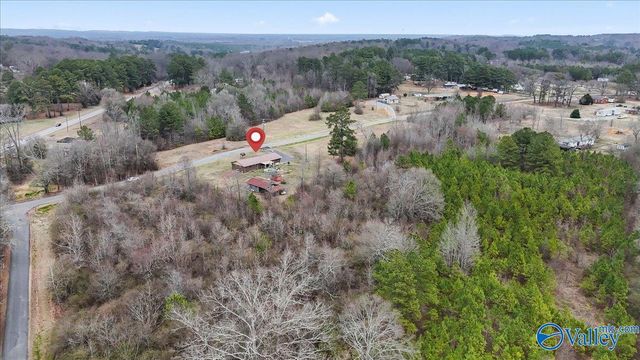 102 Wilson Chapel Road, Susan Moore, AL 35952