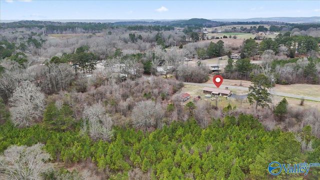 102 Wilson Chapel Road, Susan Moore, AL 35952