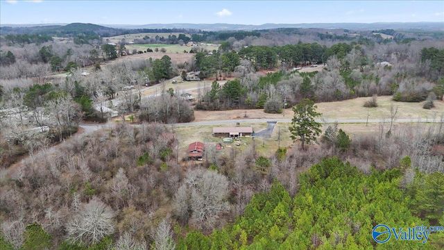 102 Wilson Chapel Road, Susan Moore, AL 35952