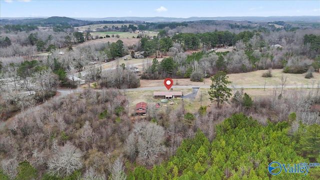 102 Wilson Chapel Road, Susan Moore, AL 35952