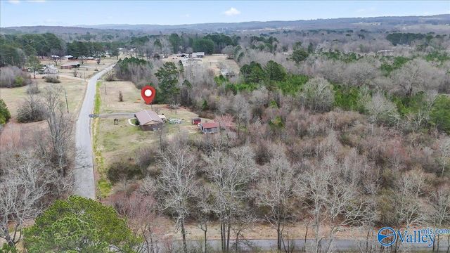 102 Wilson Chapel Road, Susan Moore, AL 35952