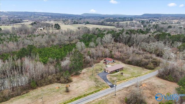 102 Wilson Chapel Road, Susan Moore, AL 35952
