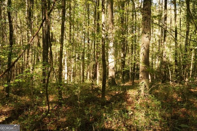1092 Cooper Gin Road, Statham, GA 30666