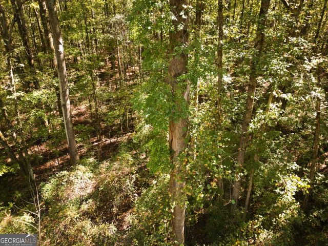 1092 Cooper Gin Road, Statham, GA 30666