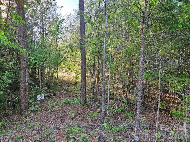 0 Old Hollis Road 2, Ellenboro, NC 28040