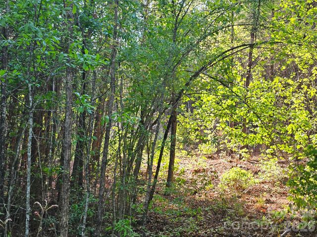 0 Old Hollis Road 2, Ellenboro, NC 28040