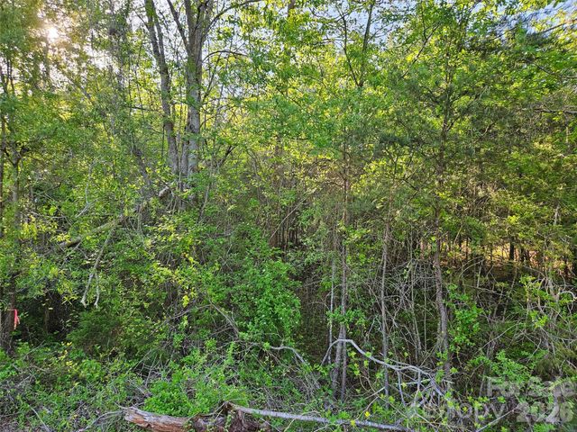 0 Old Hollis Road 2, Ellenboro, NC 28040