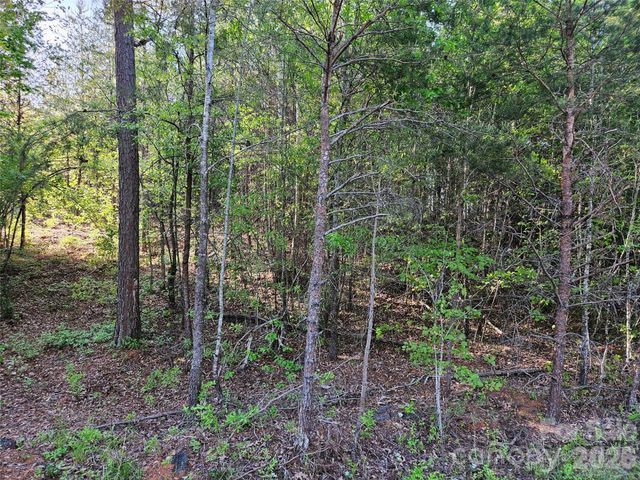 0 Old Hollis Road 2, Ellenboro, NC 28040