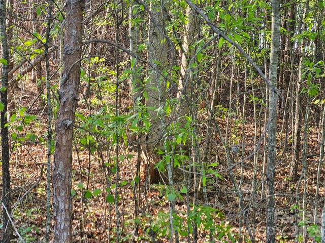 0 Old Hollis Road 2, Ellenboro, NC 28040