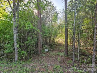 0 Old Hollis Road 2, Ellenboro, NC 28040
