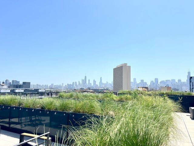 1648 W Division Street 110, Chicago, IL 60622