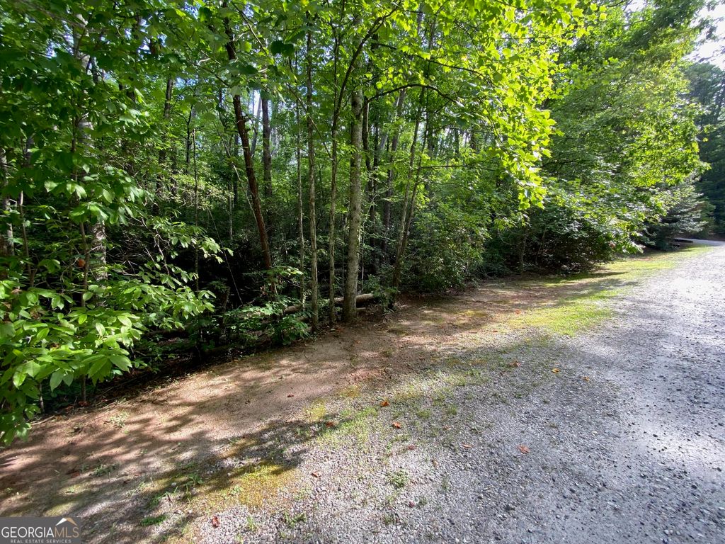 0 Sara Lane LOT 6, Sautee Nacoochee, GA 30571