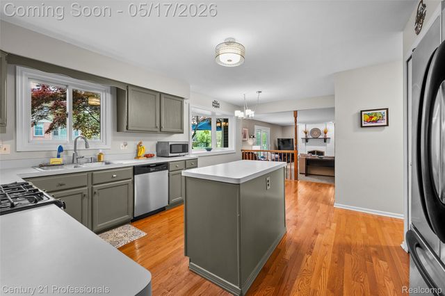 25979 Petros Boulevard, Novi, MI 48375