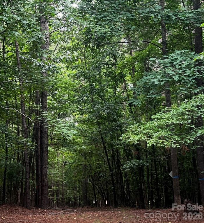 2209 Green View Drive 18, Waxhaw, NC 28173