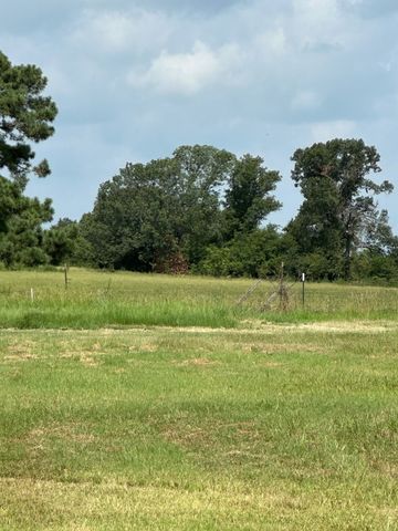 TBD VZ County Road 2212, Canton, TX 75103