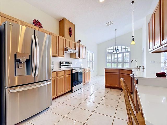 322 HIGH VISTA DRIVE, Davenport, FL 33837