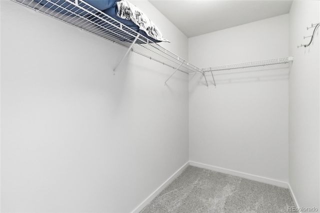 9981 Hough Point, Parker, CO 80134