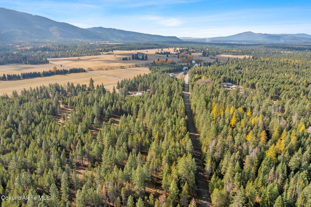 NKA WHITETAIL DR, Athol, ID 83801 photo 3