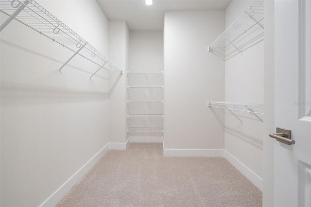 6605 N NEBRASKA AVENUE 6, Tampa, FL 33604