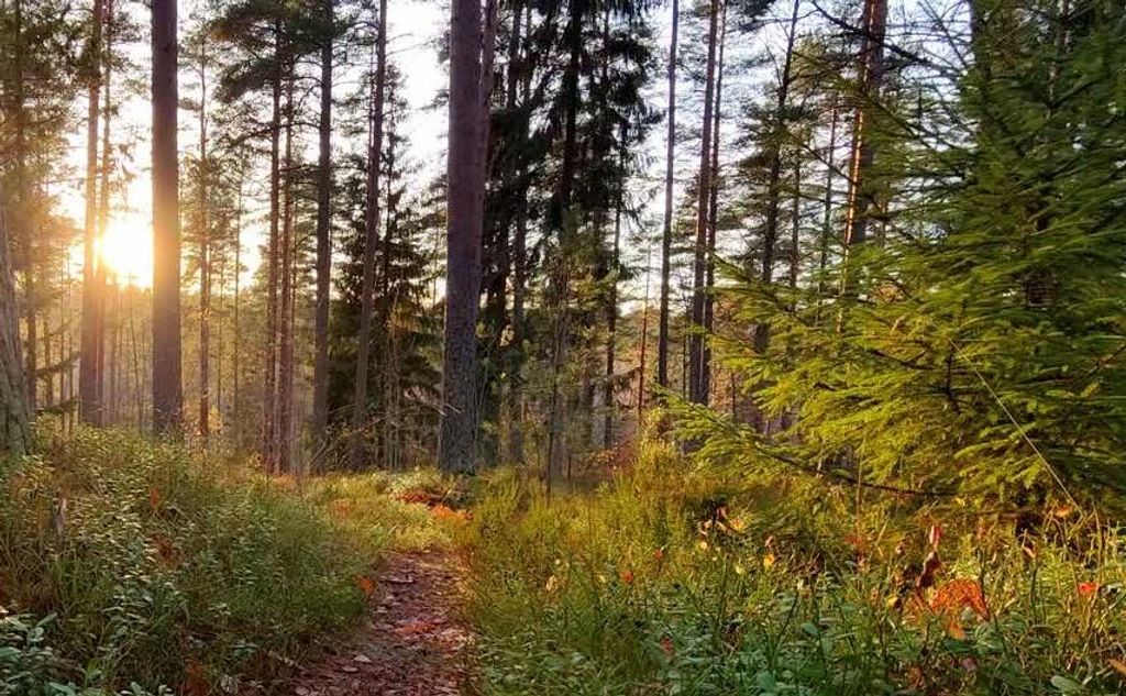 1605 Sterling Oaks Court, Ada, MI 49301