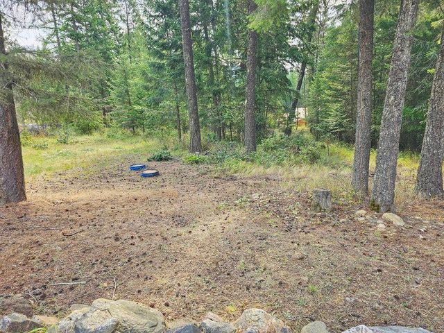 717 Dry Gulch Rd, Colville, WA 99114