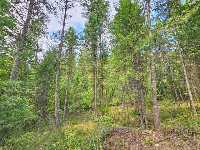 717 Dry Gulch Rd, Colville, WA 99114