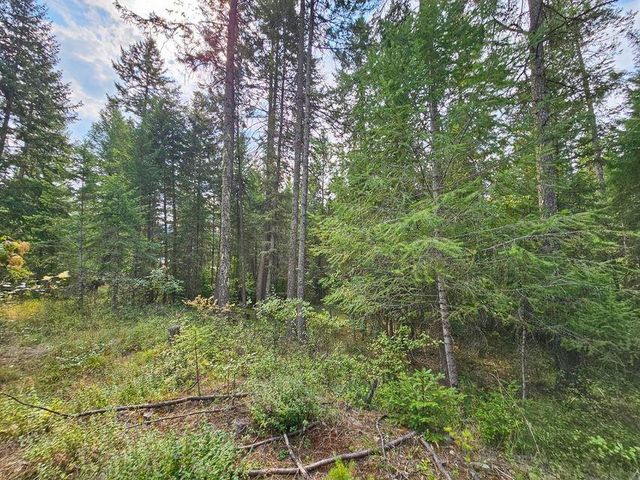 717 Dry Gulch Rd, Colville, WA 99114