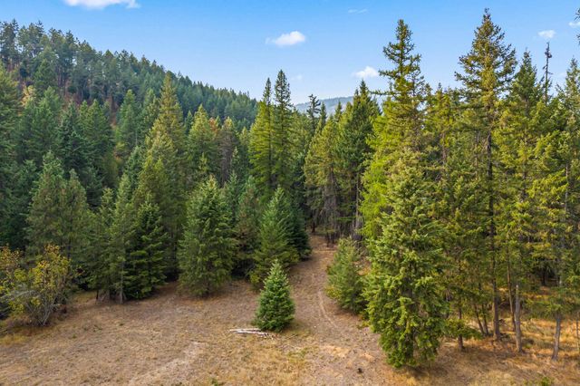 717 Dry Gulch Rd, Colville, WA 99114