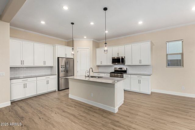 16987 W SAGUARO PARK Lane, Surprise, AZ 85387