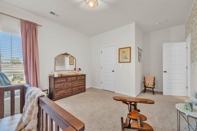 166 Morning Dew Road, Toney, AL 35773