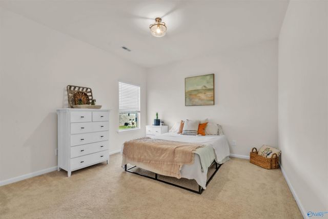 166 Morning Dew Road, Toney, AL 35773