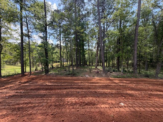 225 Walter Jones, Mendenhall, MS 39114