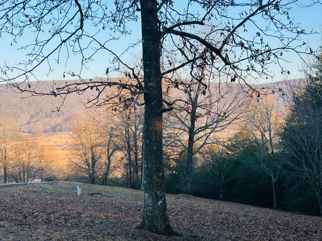 0 Skyhigh Drive 23&24, Dunlap, TN 37327