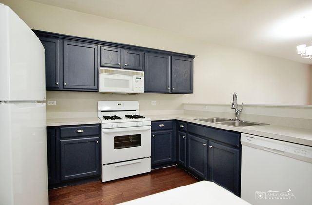 3152 Falling Waters Lane 3152, Lindenhurst, IL 60046