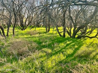 036L Caitlin Lane 036L, Cottonwood, AZ 86326