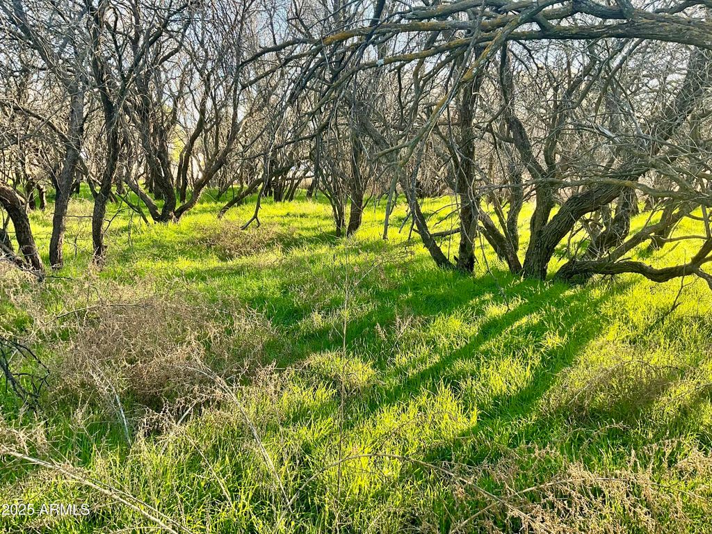 036L Caitlin Lane 036L, Cottonwood, AZ 86326