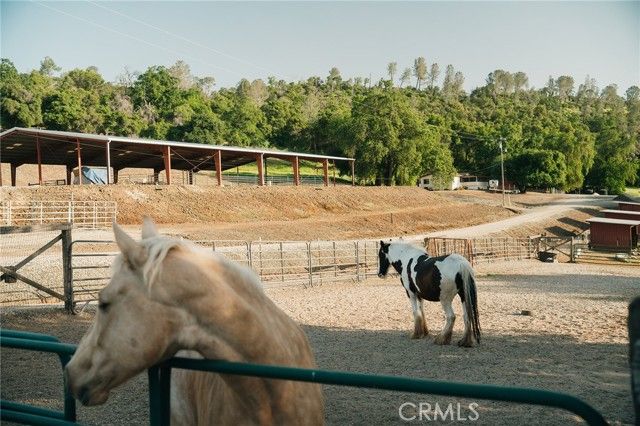 1477 Flag Creek Road, Oroville, CA 95965