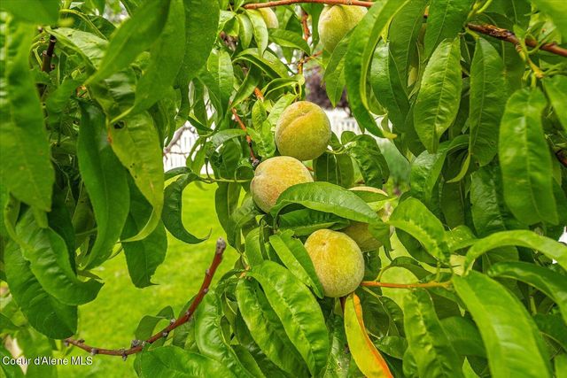 2145 W Grange Ave, Post Falls, ID 83854