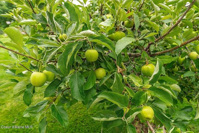 2145 W Grange Ave, Post Falls, ID 83854