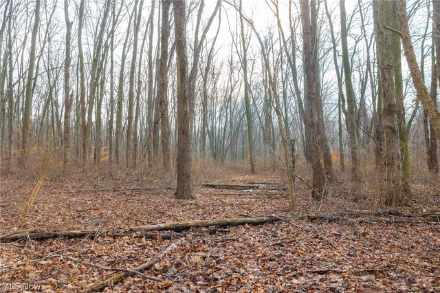 7389 Doylestown Road, Sterling, OH 44276